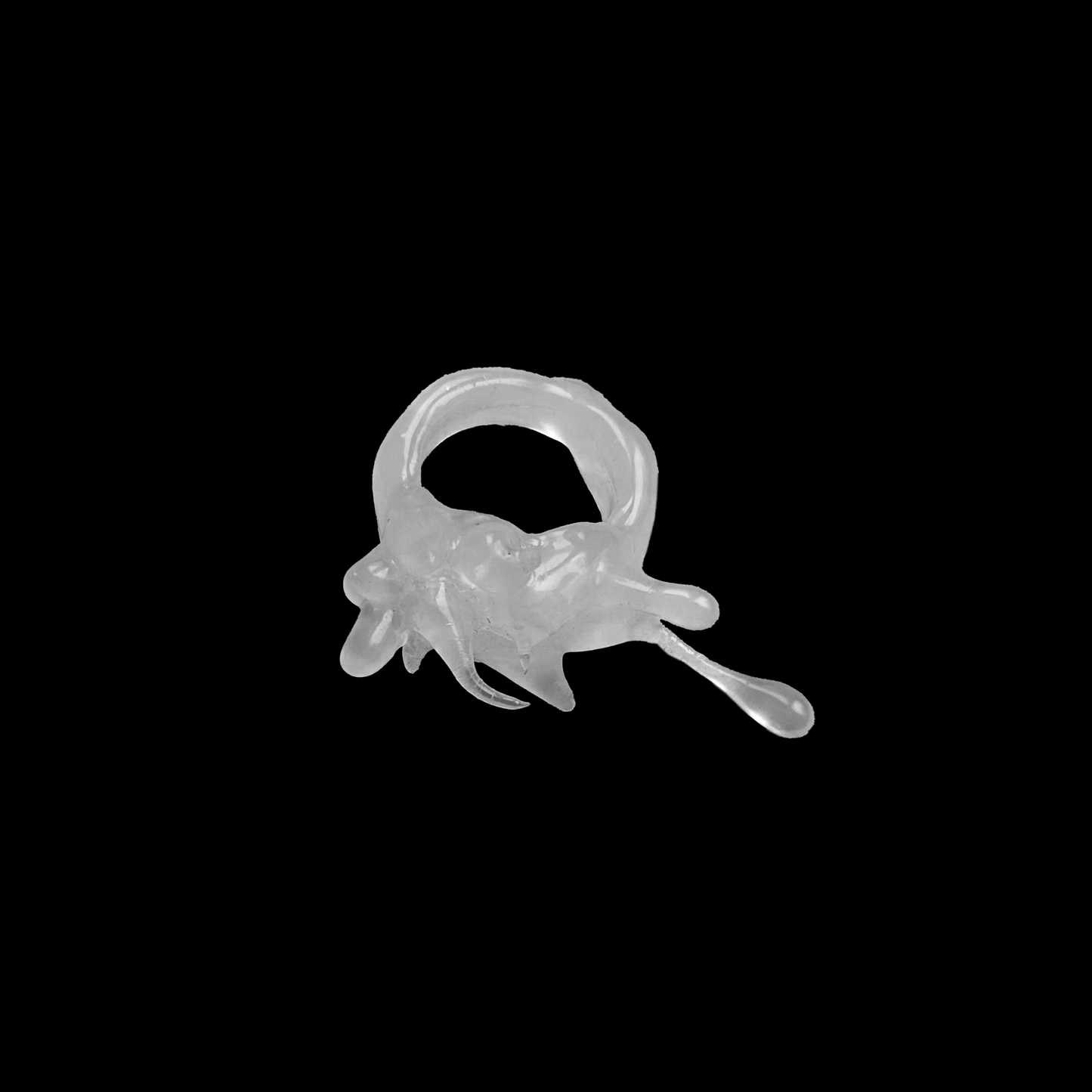Moccio Lunare aquatic
